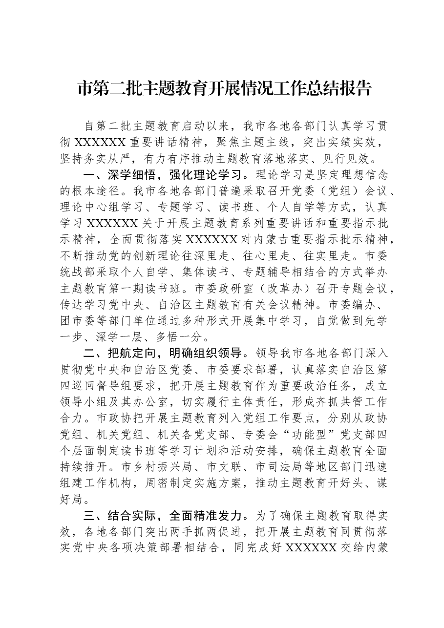 市第二批主题教育开展情况工作总结报告.docx,第1页预览