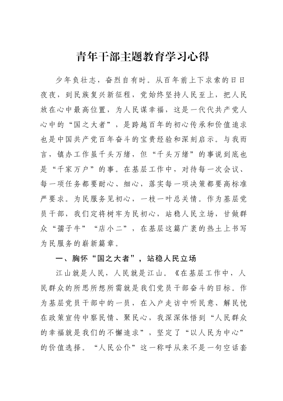 青年干部主题教育学习心得.docx,第1页预览