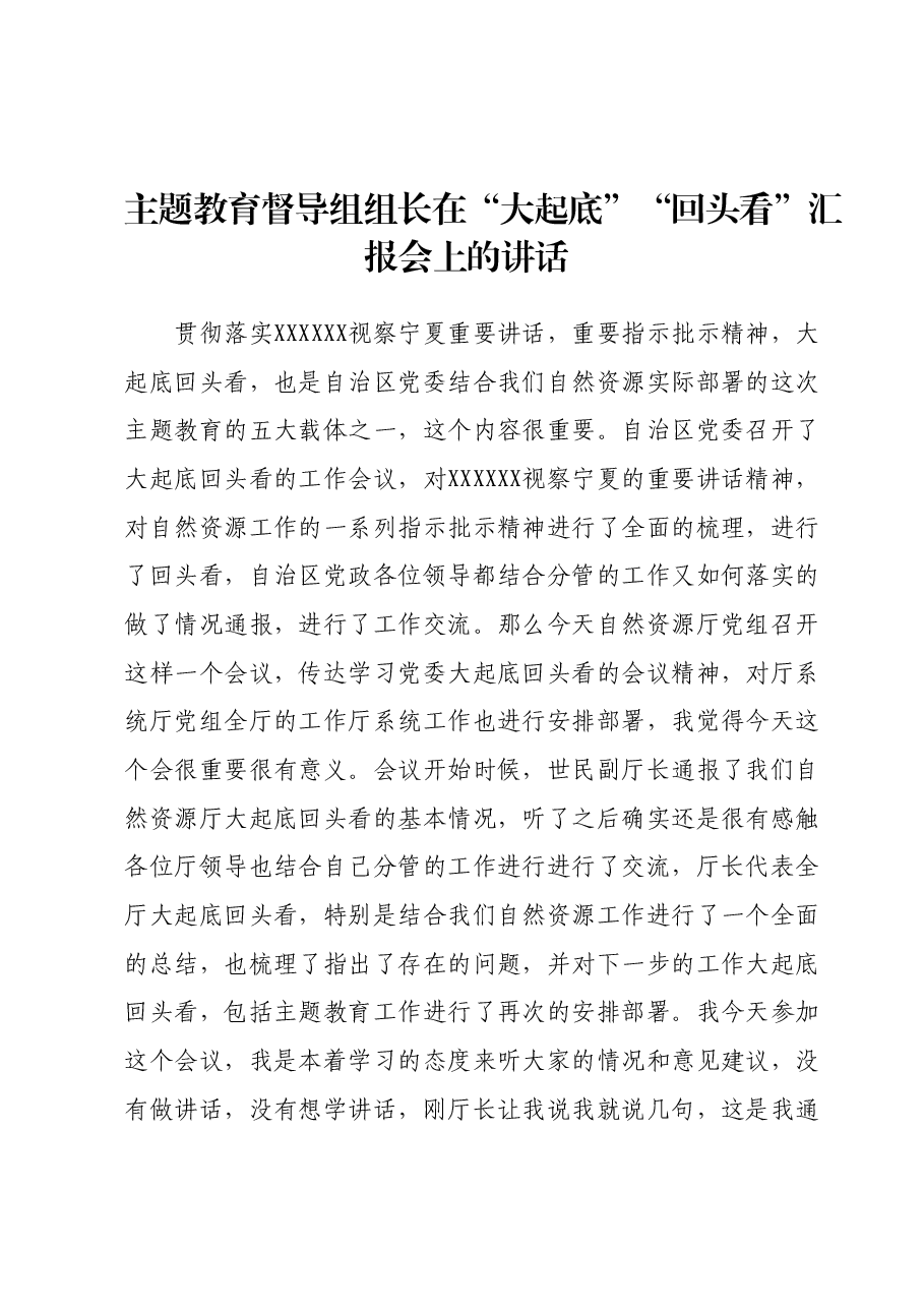 主题教育督导组组长在“大起底”“回头看”汇报会上的讲话.docx,第1页预览