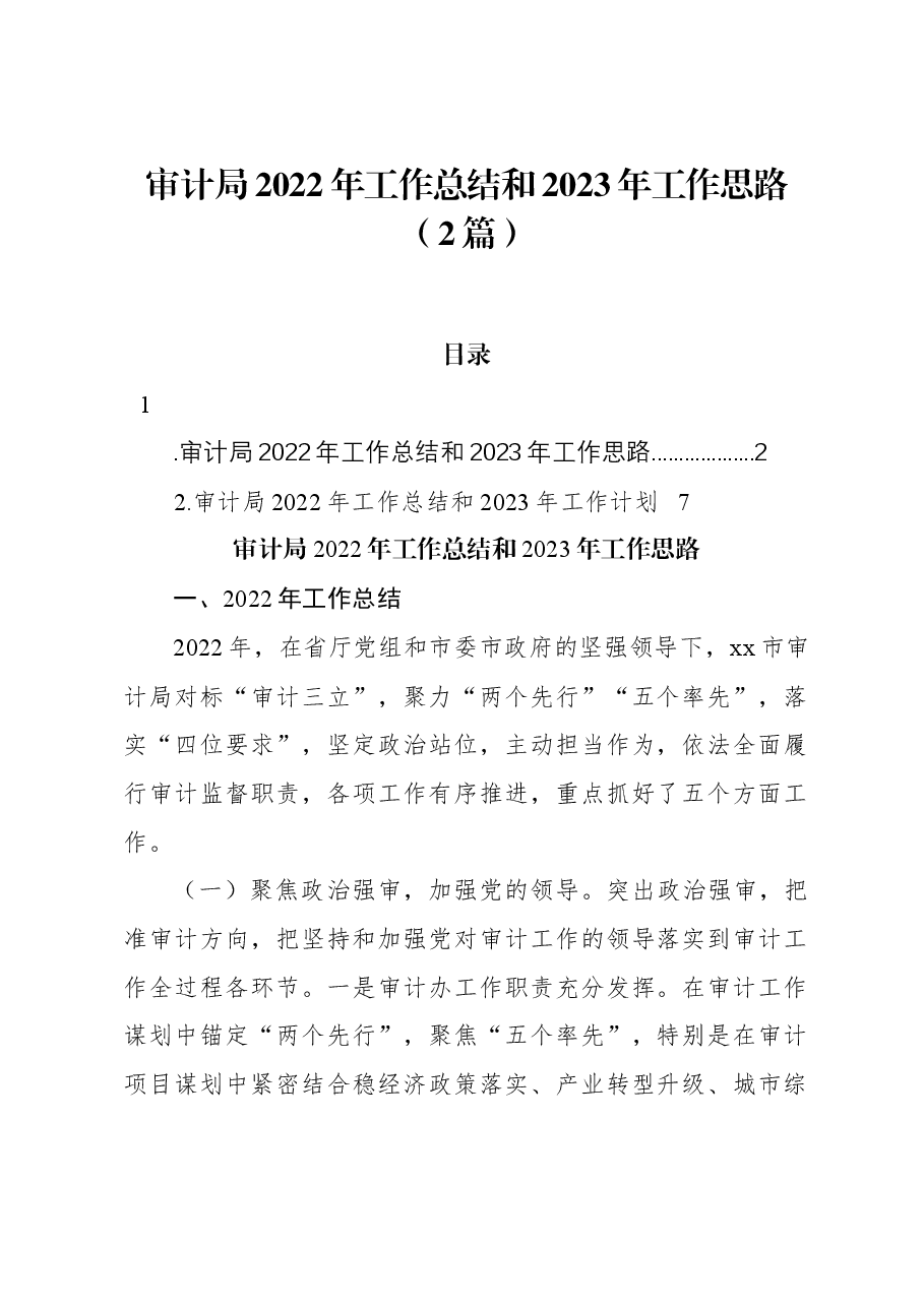 （2篇）审计局2022年工作总结和2023年工作思路.docx，第1页预览