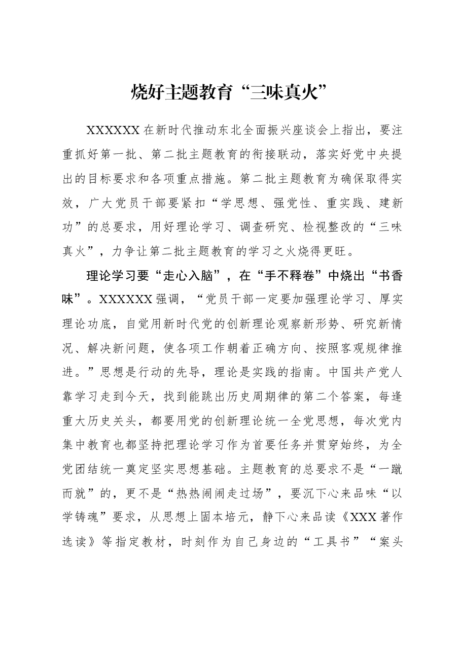 2023年主题教育心得体会:烧好主题教育“三味真火”.docx,第1页预览