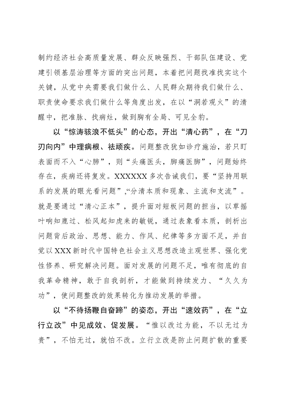 2023年主题教育心得体会：对症检视整改的“三味良药”.docx，第2页预览