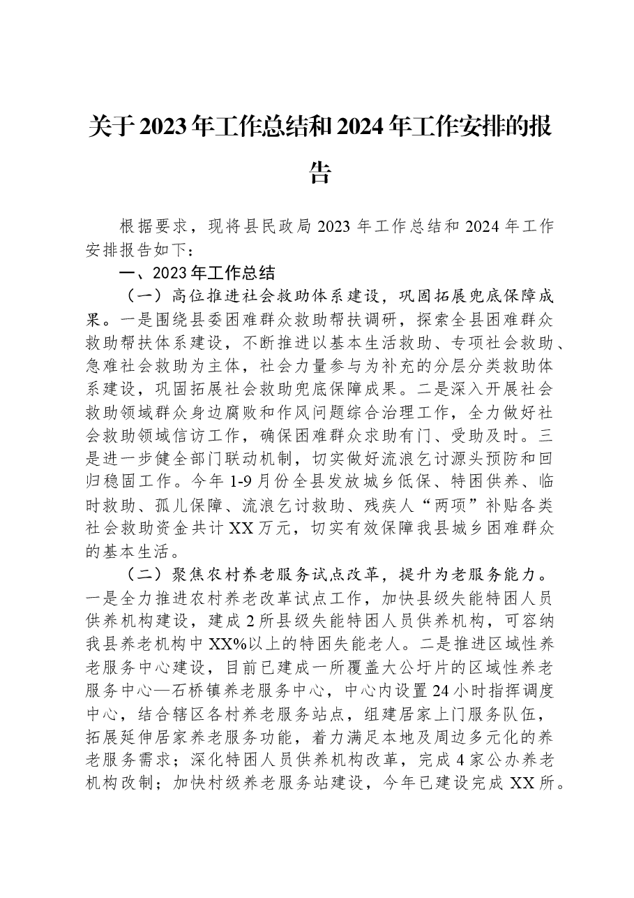关于2023年工作总结和2024年工作安排的报告.docx,第1页预览
