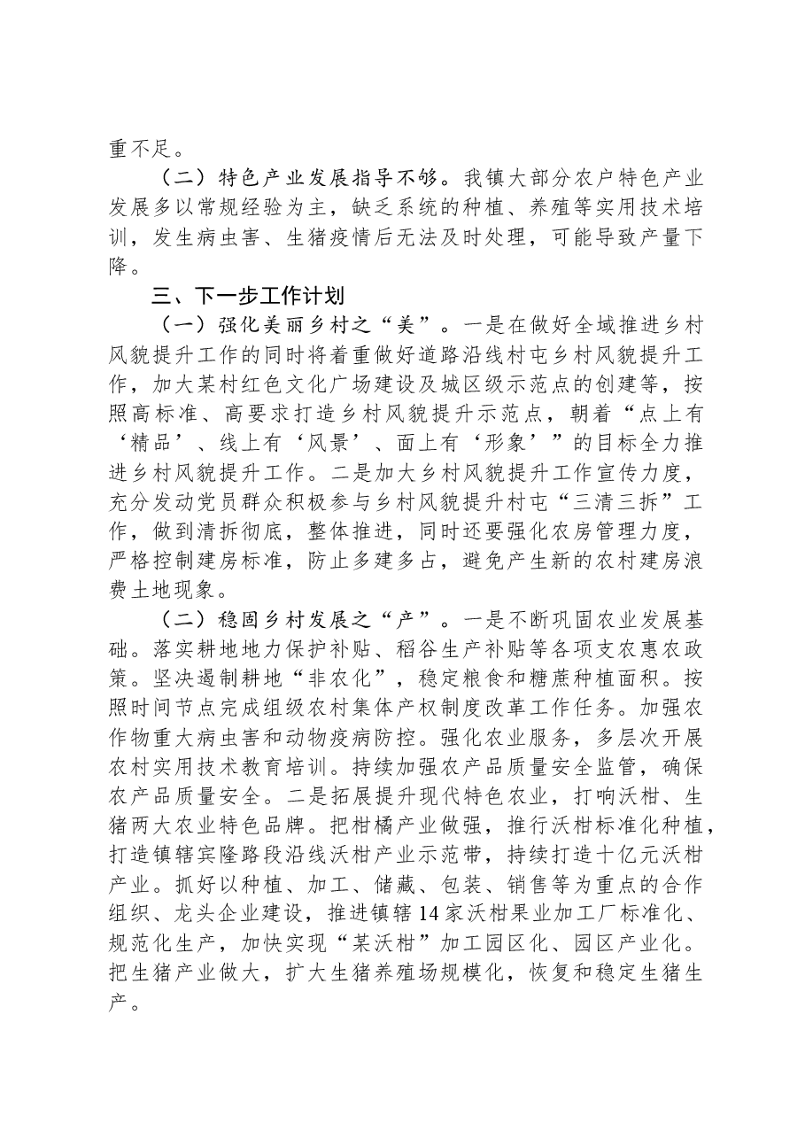 乡镇开展乡村振兴工作总结.docx,第3页预览