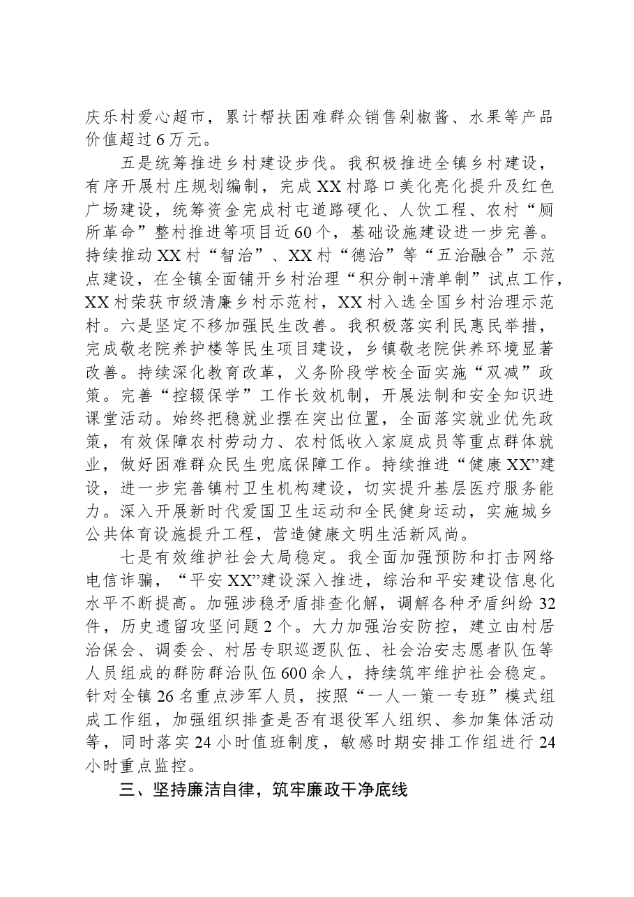 乡镇镇长近三年工作总结.docx,第3页预览