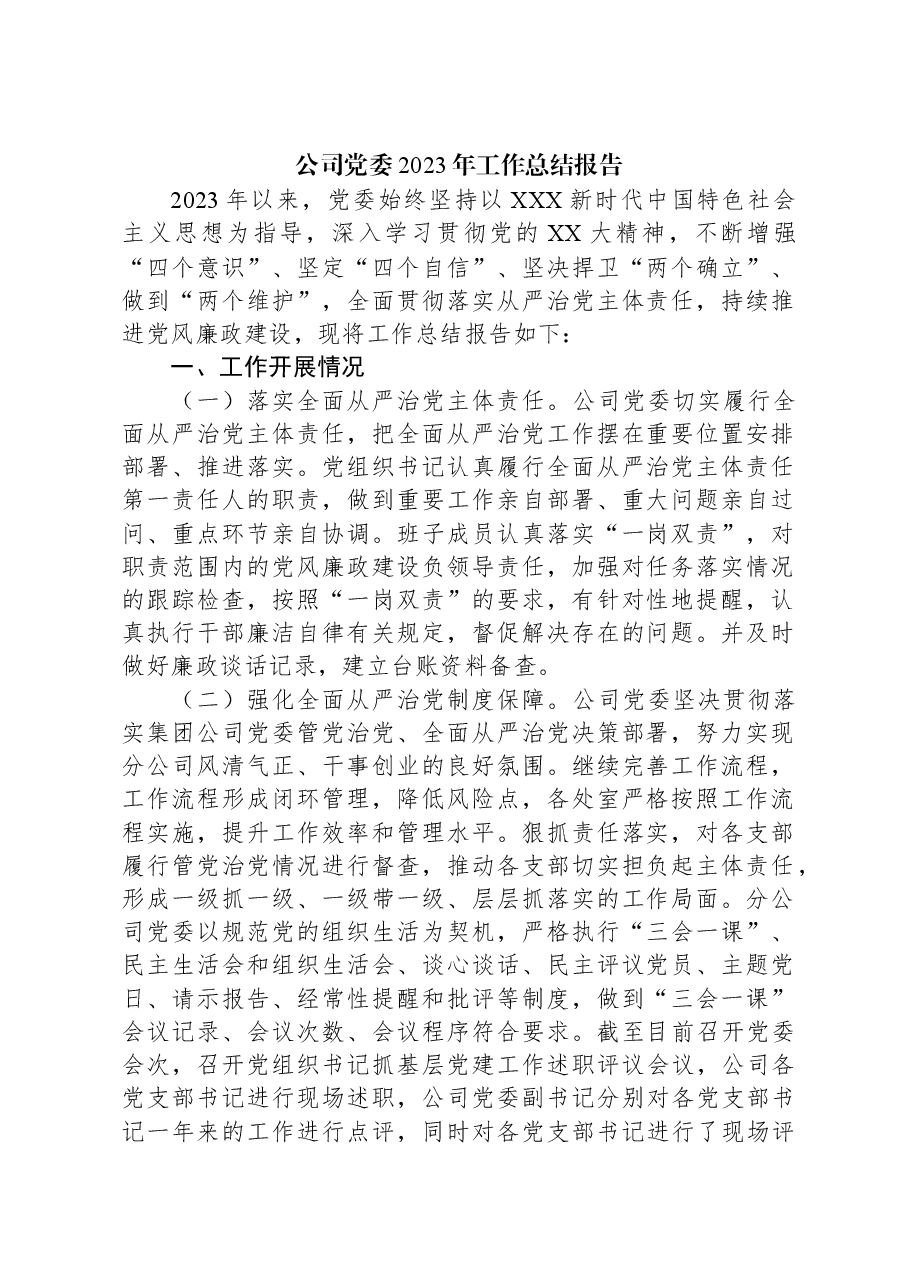 公司党委2023年工作总结报告.docx，第1页预览