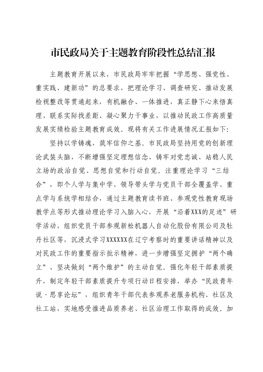 市民政局关于主题教育阶段性总结汇报.docx，第1页预览