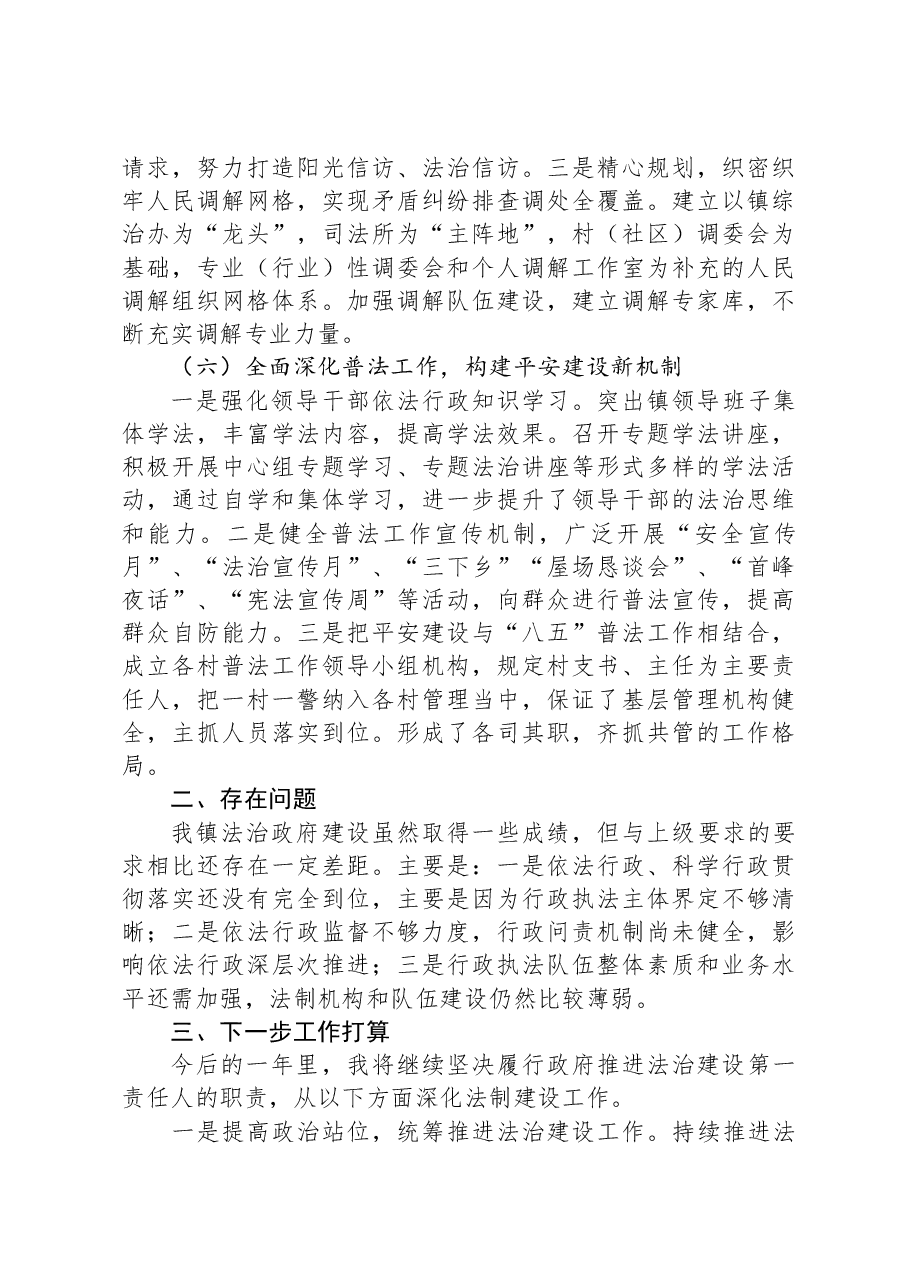 履行推进法治政府建设第一责任人职责的述职报告.docx,第3页预览