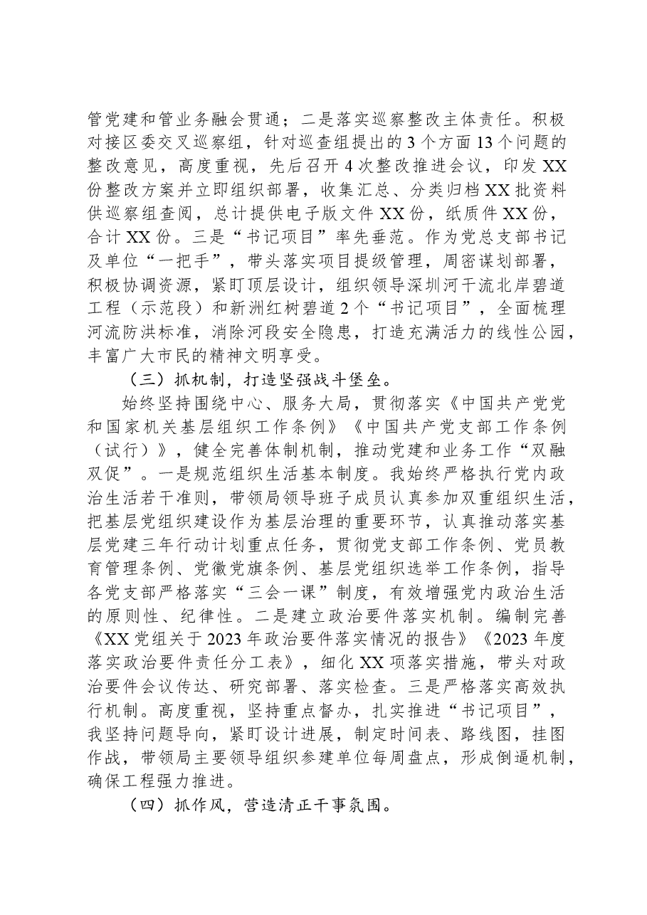 党总支部书记抓基层党建工作述职报告.docx,第2页预览