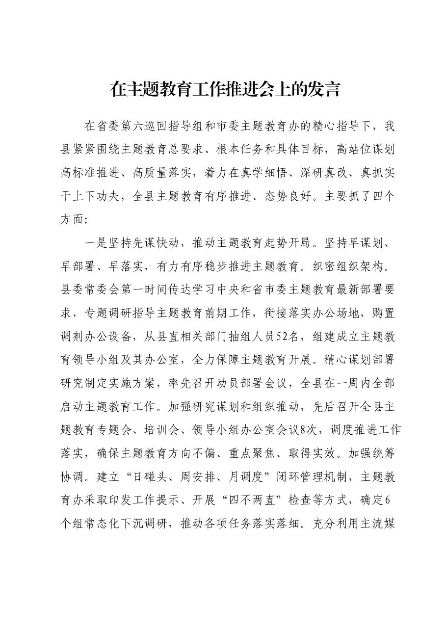 在主题教育工作推进会上的发言 (2).docx,第1页预览