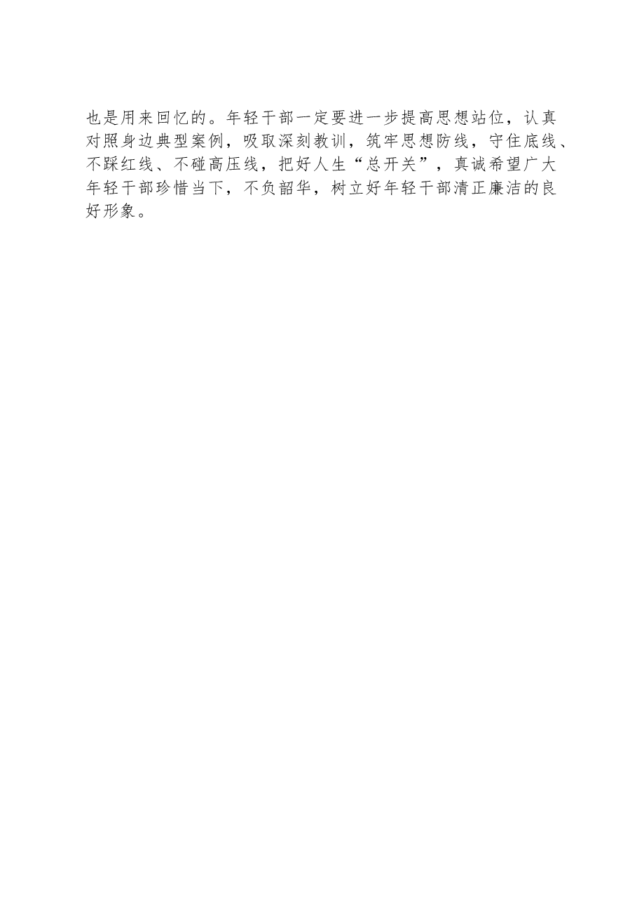 年轻干部廉洁从业座谈会即兴讲话材料.docx,第4页预览