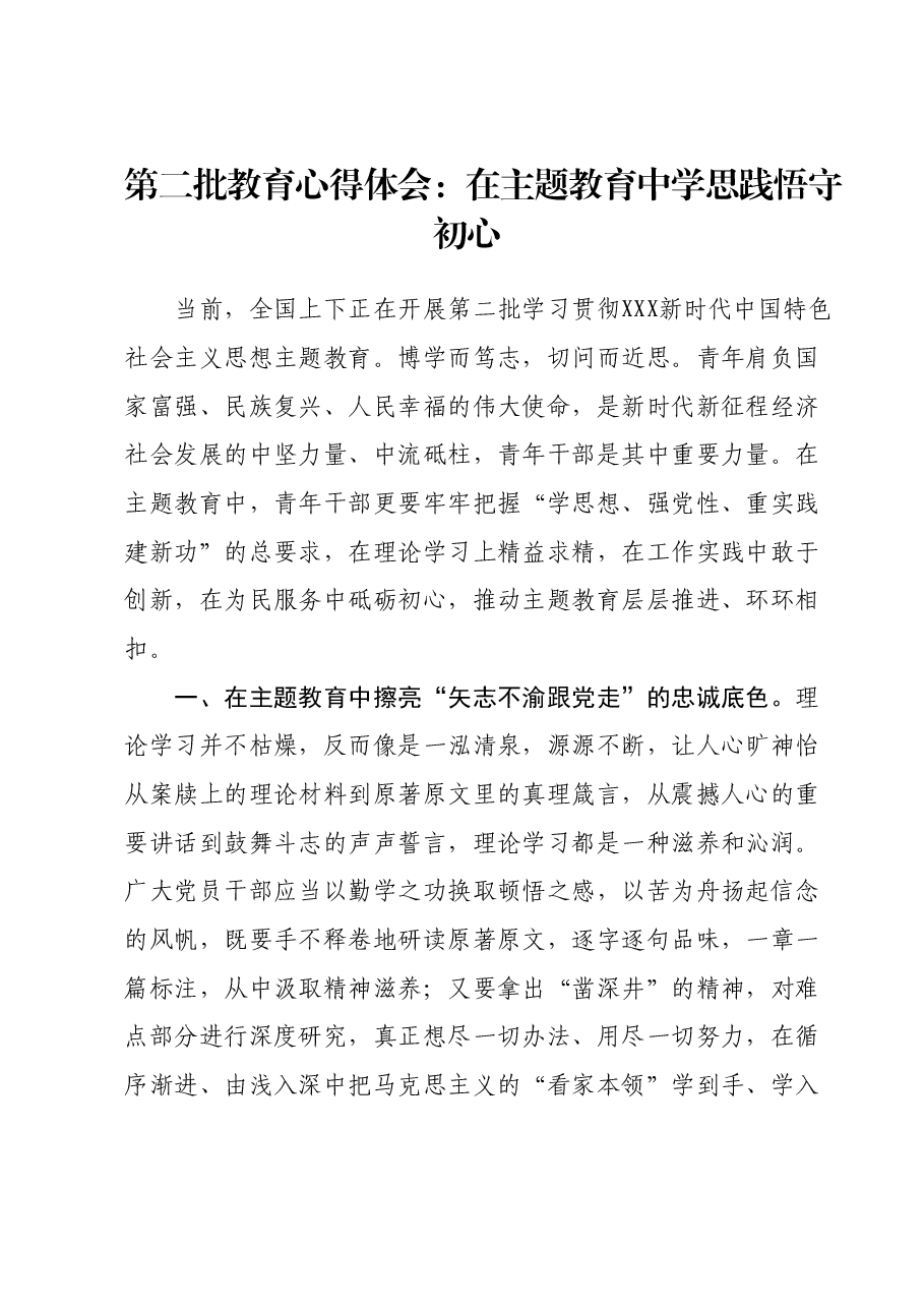 第二批教育心得体会：在主题教育中学思践悟守初心.docx，第1页预览