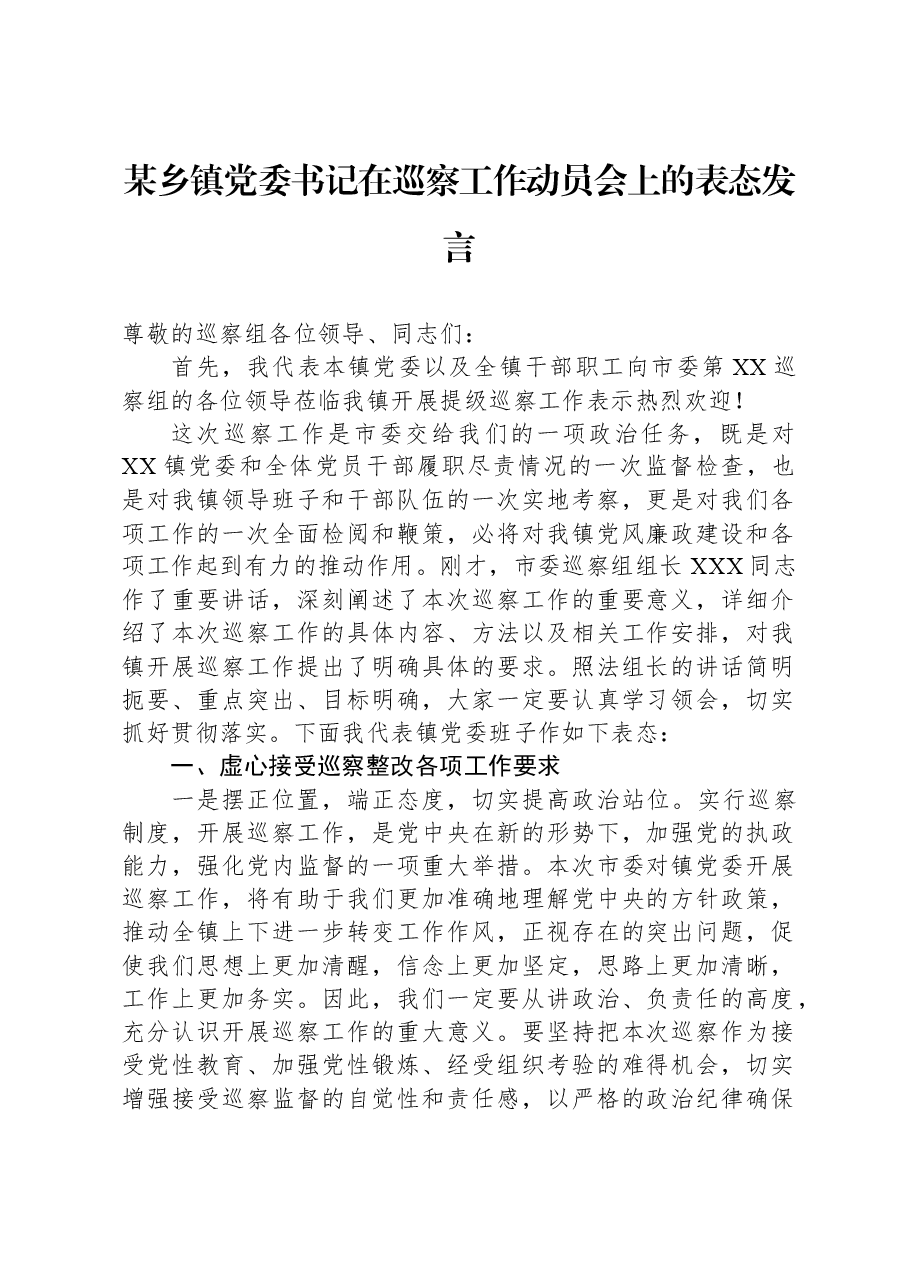 某乡镇党委书记在巡察工作动员会上的表态发言.docx,第1页预览