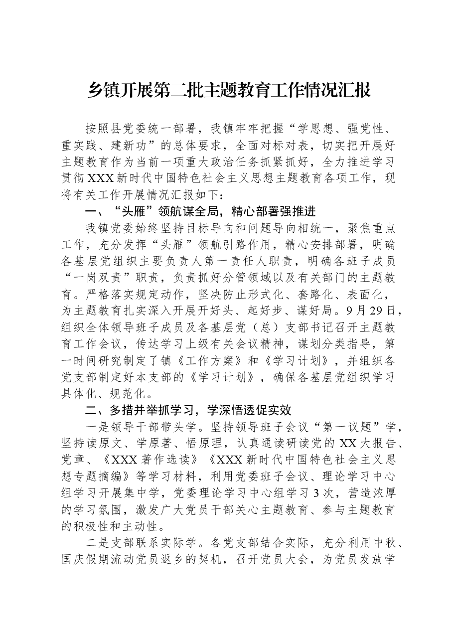 乡镇开展第二批主题教育工作情况汇报.docx,第1页预览