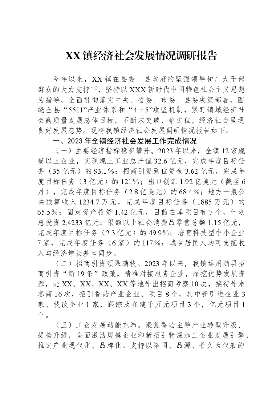 XX镇经济社会发展情况调研报告.docx,第1页预览