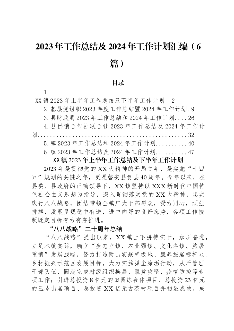 （6篇）2023年工作总结及2024年工作计划汇编.docx，第1页预览