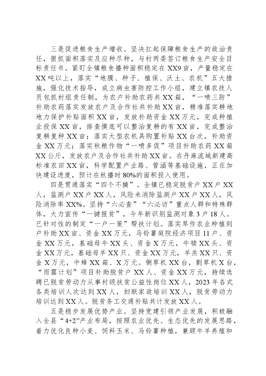 镇2023年度工作总结.docx,第2页预览