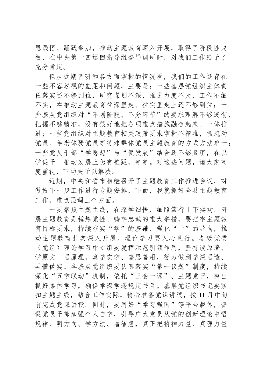 在11月份主题教育领导小组会议上的讲话.docx,第2页预览