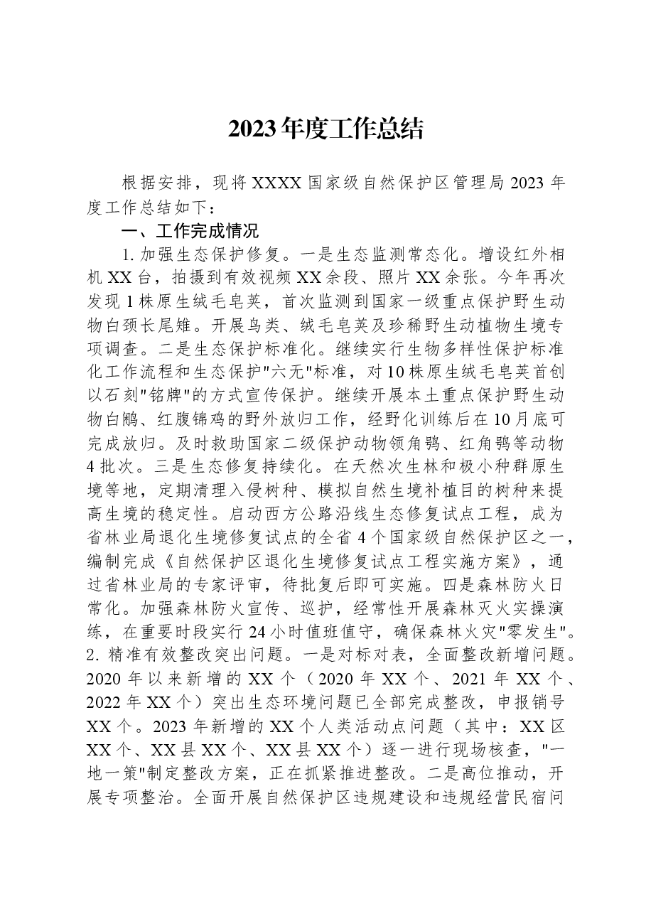 2023年度工作总结.docx,第1页预览