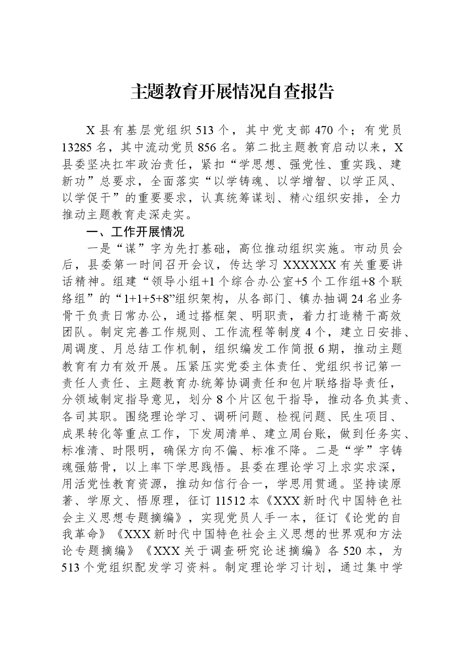 主题教育开展情况自查报告.docx,第1页预览