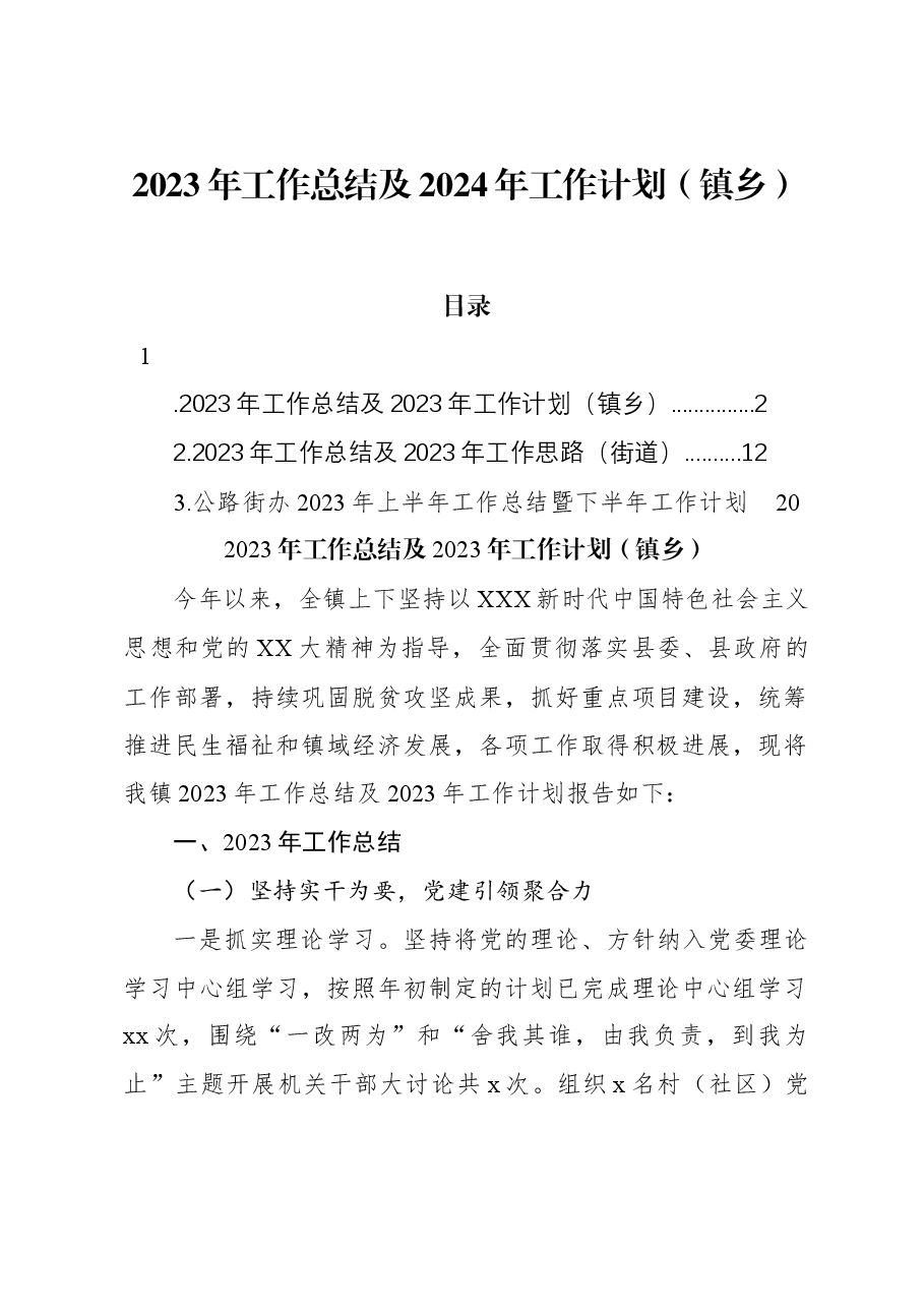 2023年工作总结及2024年工作计划(镇乡).docx,第1页预览