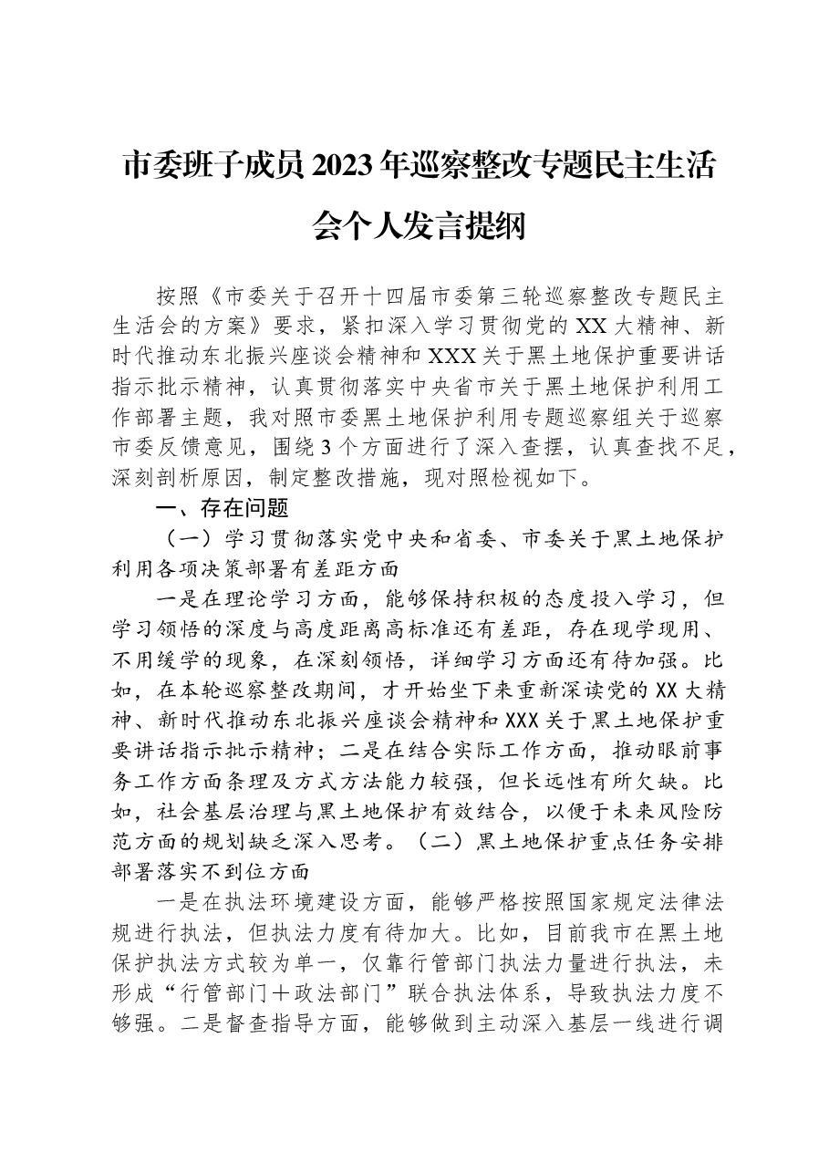 市委班子成员2023年巡察整改专题民主生活会个人发言提纲.docx,第1页预览