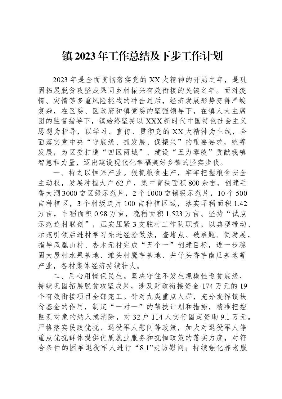 镇2023年工作总结及下步工作计划.docx,第1页预览