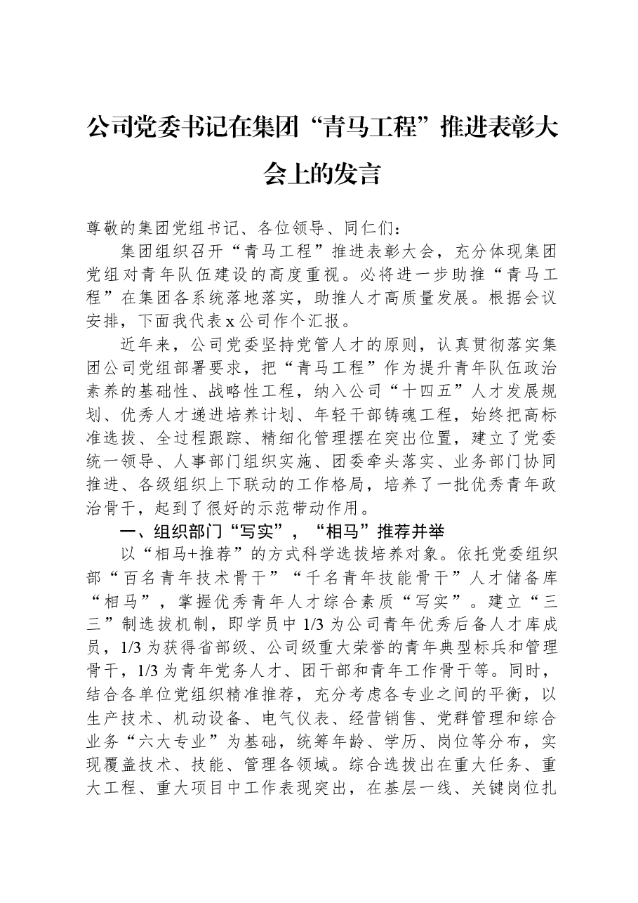 公司党委书记在集团“青马工程”推进表彰大会上的发言.docx,第1页预览
