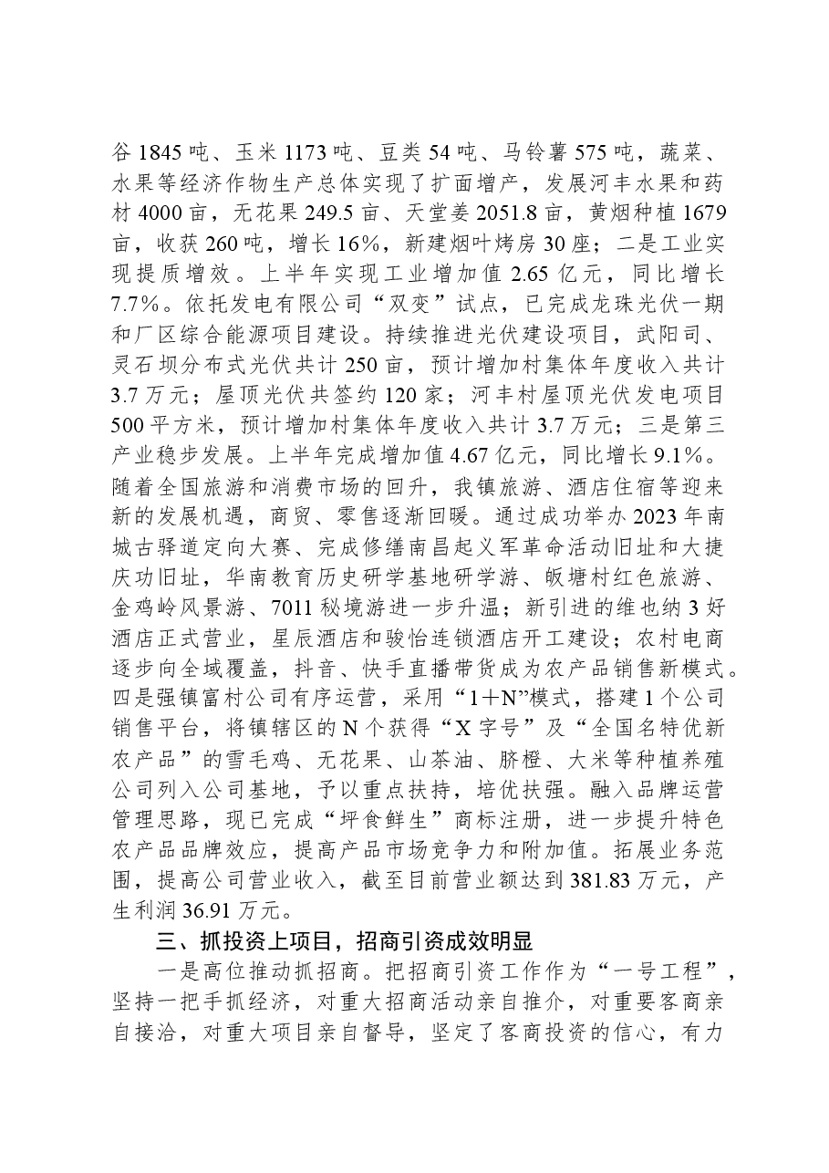 镇发展镇村经济工作专题报告.docx,第2页预览