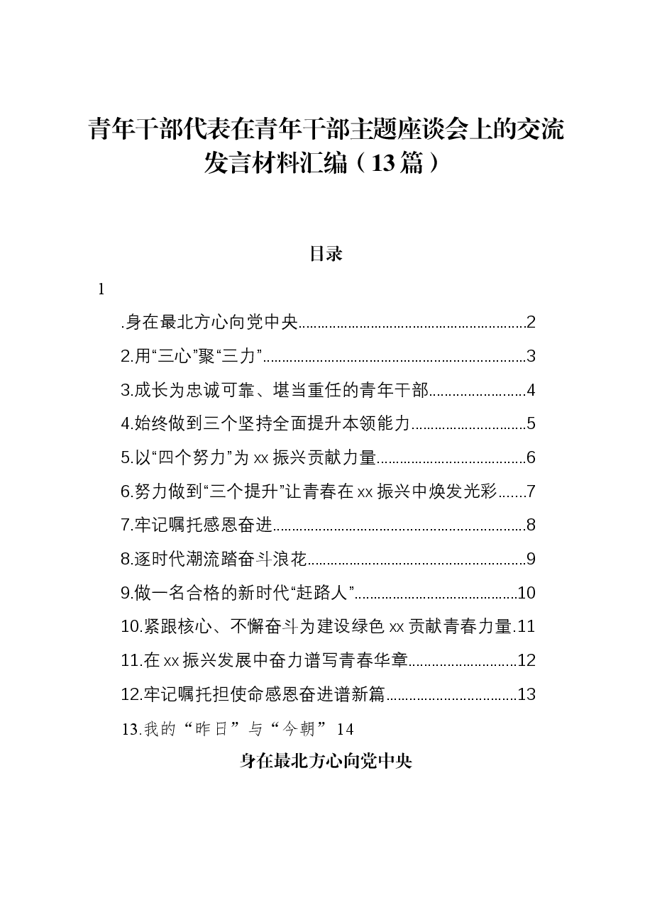 (13篇)青年干部代表在青年干部主题座谈会上的交流发言材料汇编.docx,第1页预览