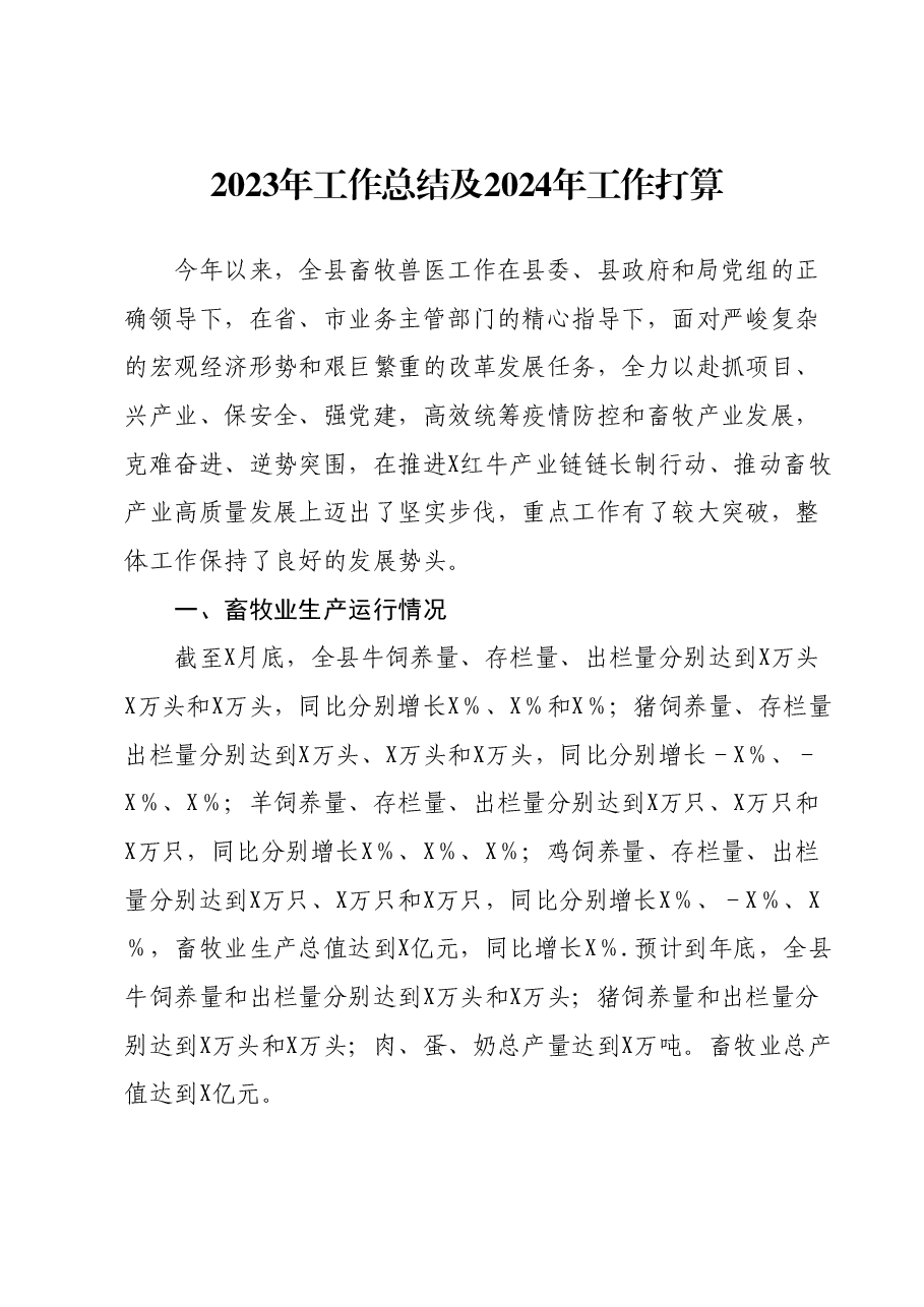 2023年工作总结及2024年工作打算.docx,第1页预览