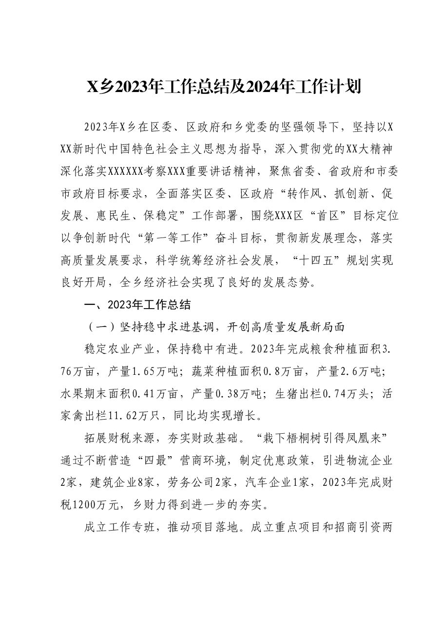 X乡2023年工作总结及2024年工作计划.docx,第1页预览