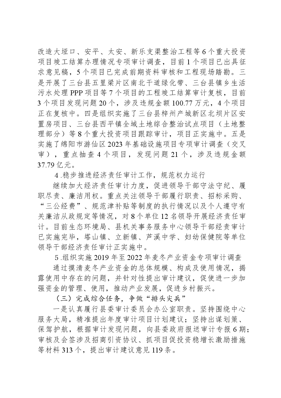 县审计局2023年工作总结及2024年工作计划.docx,第3页预览