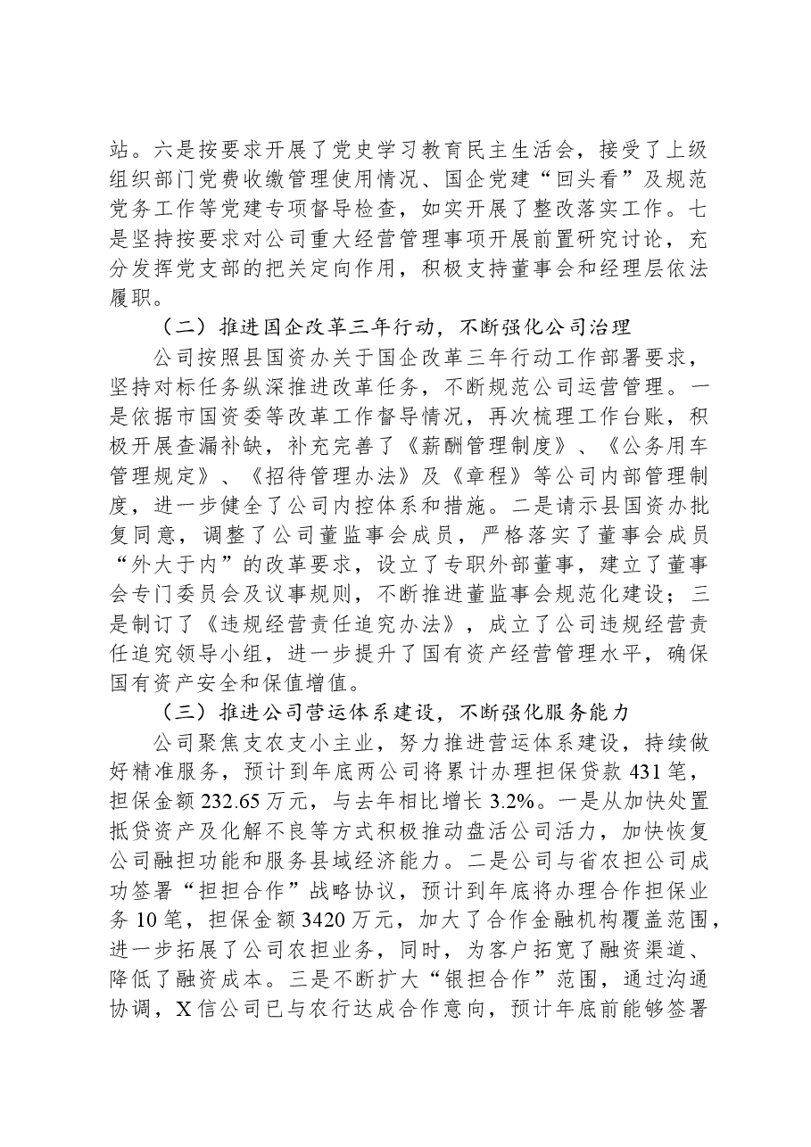 融资担保有限公司2023年度工作总结及2024年工作打算.docx，第2页预览