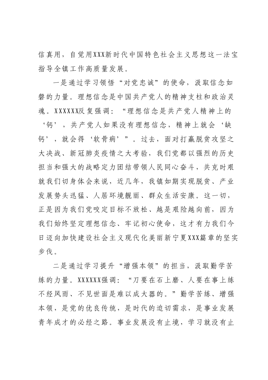 基层党委书记主题教育党课讲稿.docx,第2页预览