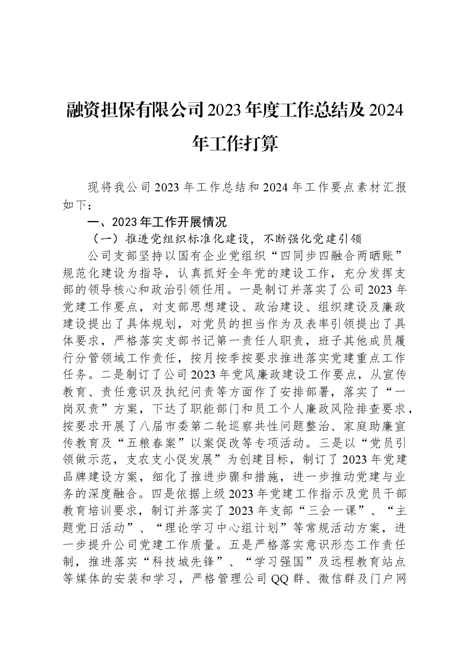 融资担保有限公司2023年度工作总结及2024年工作打算.docx，第1页预览
