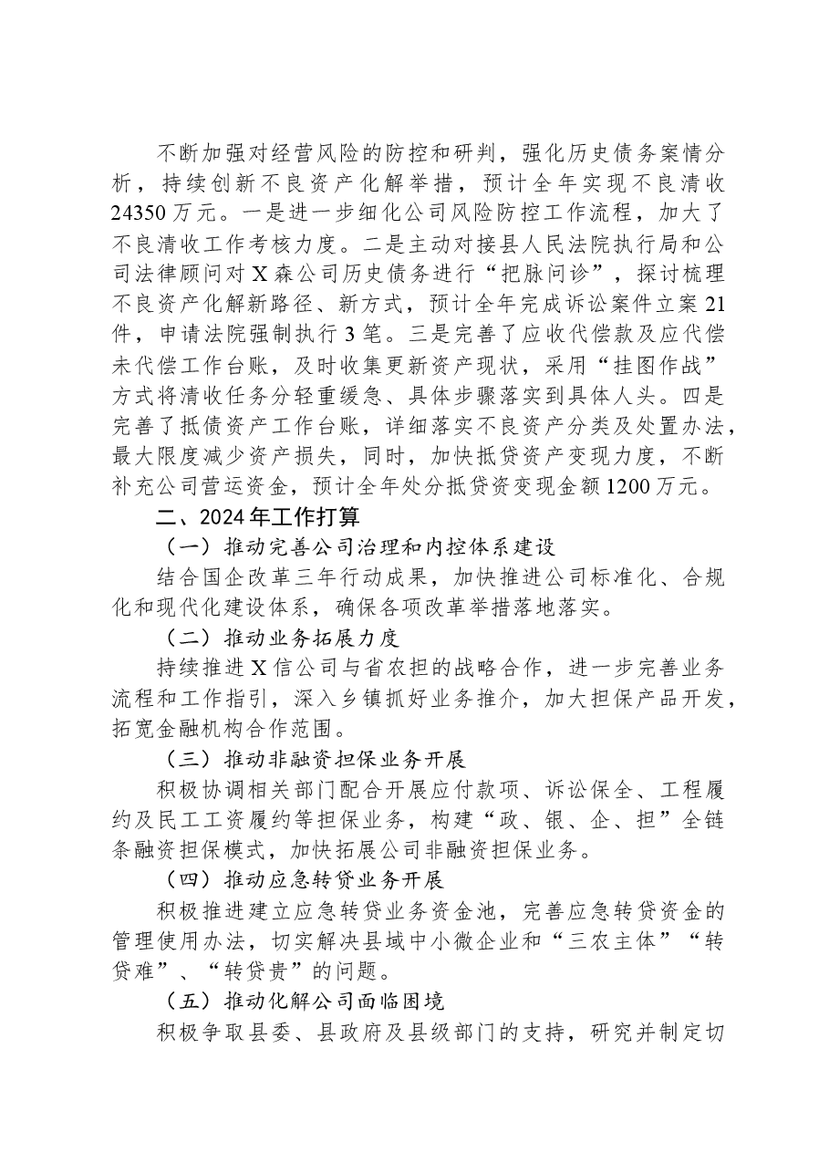 融资担保有限公司2023年度工作总结及2024年工作打算.docx，第4页预览