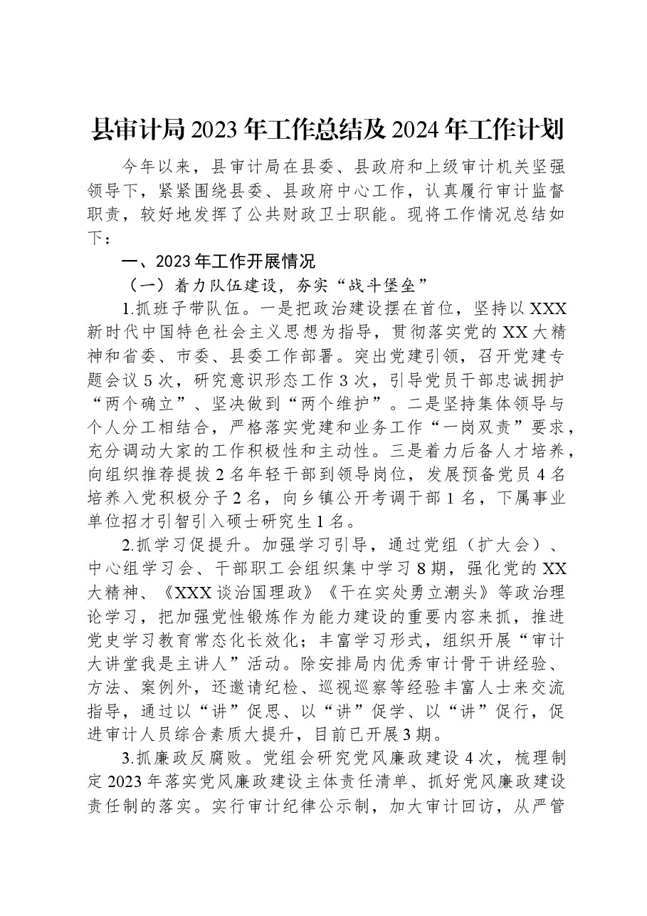 县审计局2023年工作总结及2024年工作计划.docx,第1页预览