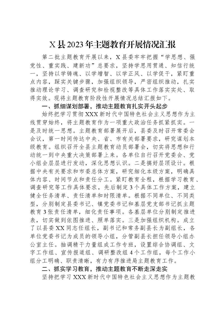 X县2023年主题教育开展情况汇报.docx,第1页预览