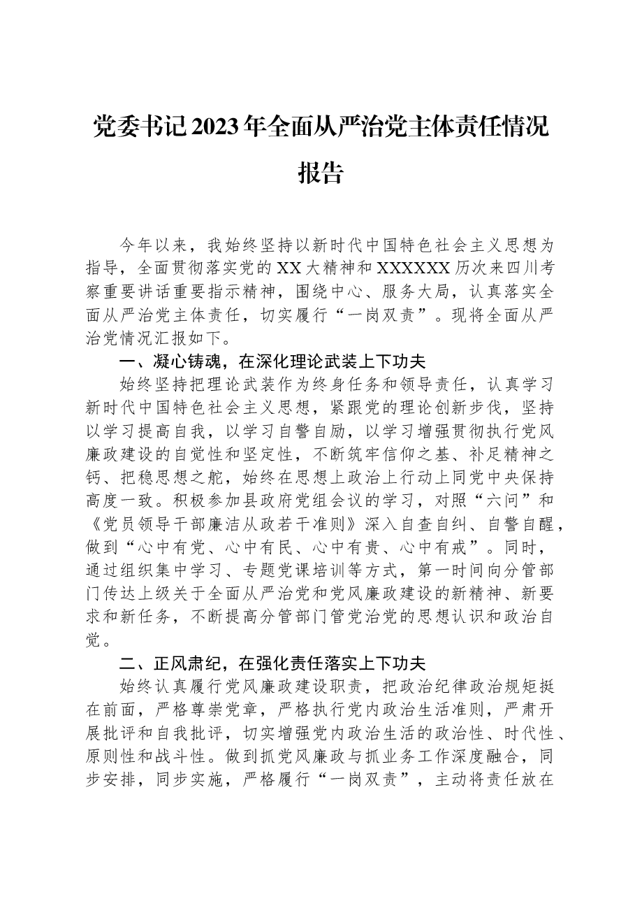 党委书记2023年全面从严治党主体责任情况报告.docx,第1页预览