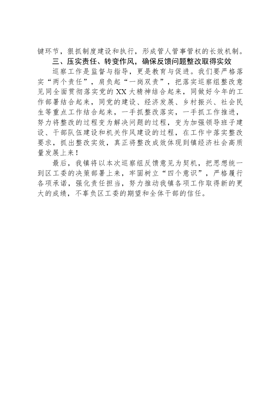 镇党委书记在巡察反馈会上的表态发言.docx,第3页预览