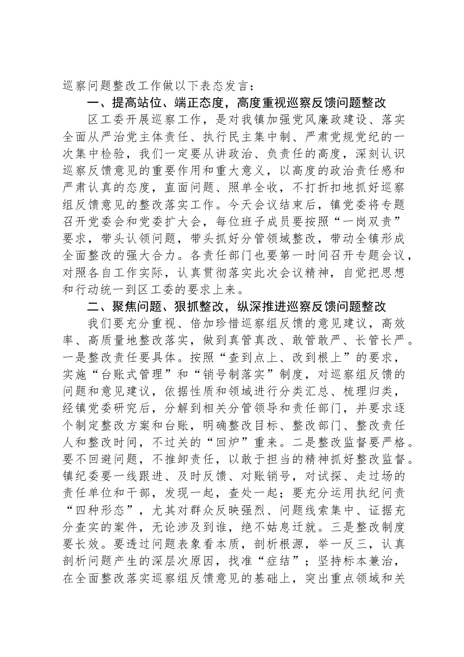 镇党委书记在巡察反馈会上的表态发言.docx,第2页预览