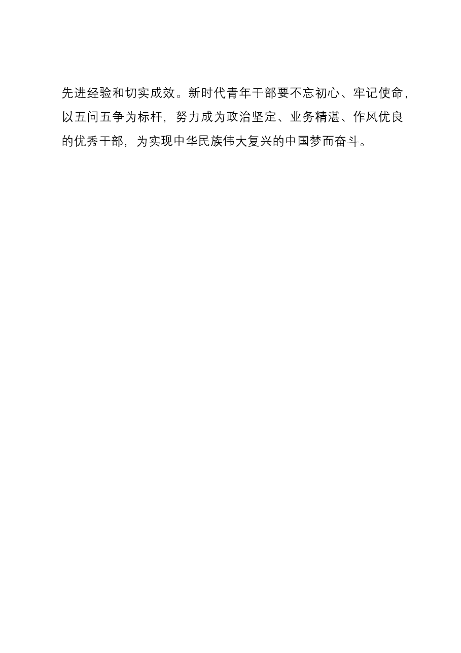研讨材料：青年干部在五问五争中践行责任担当.docx，第4页预览