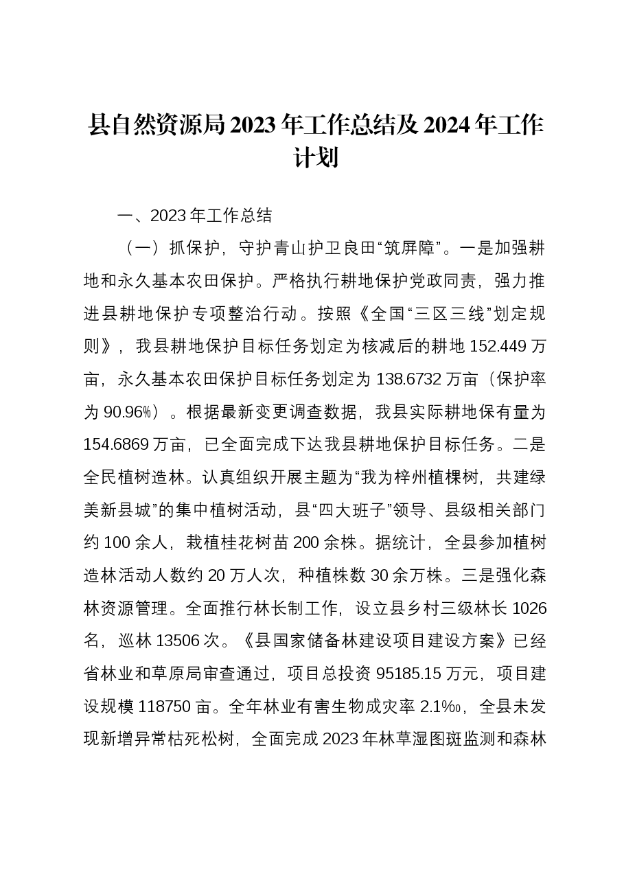 县自然资源局2023年工作总结及2024年工作计划.docx,第1页预览