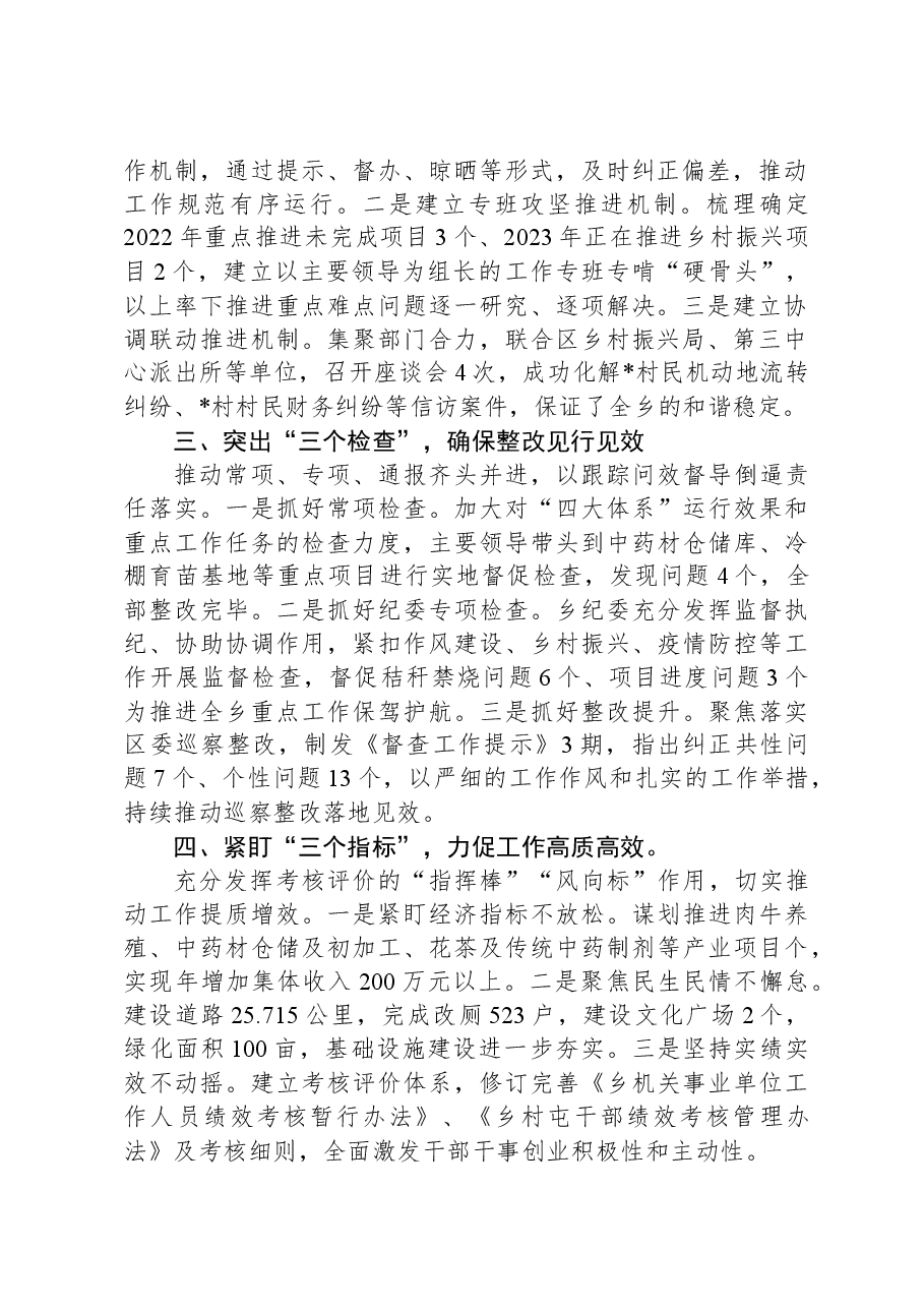 乡党委书记在“工作落实年”活动推进会上的汇报发言.docx,第2页预览