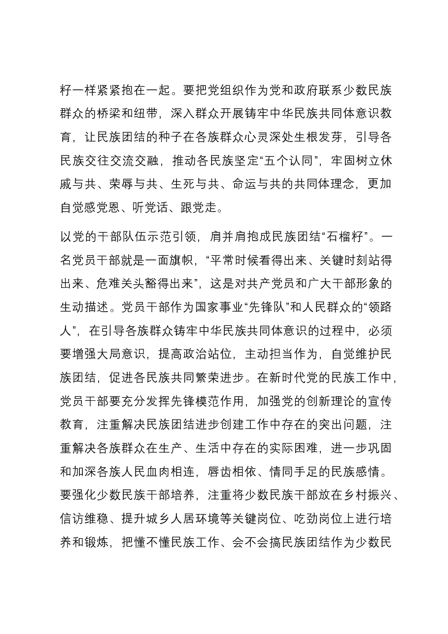 研讨发言:党建引领浇灌民族团结进步之花.docx,第3页预览