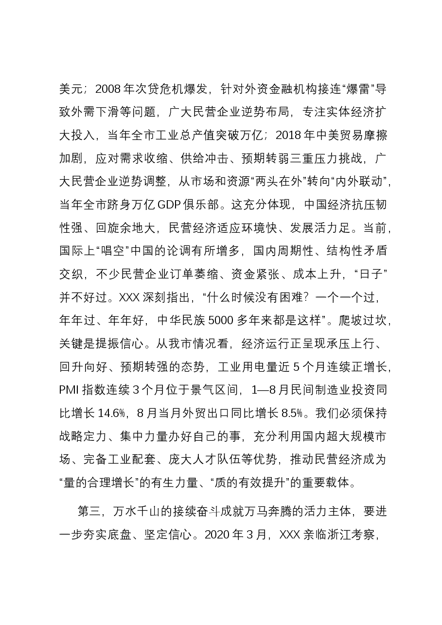 市委书记在2023年全市民营经济发展大会上的讲话.docx,第4页预览