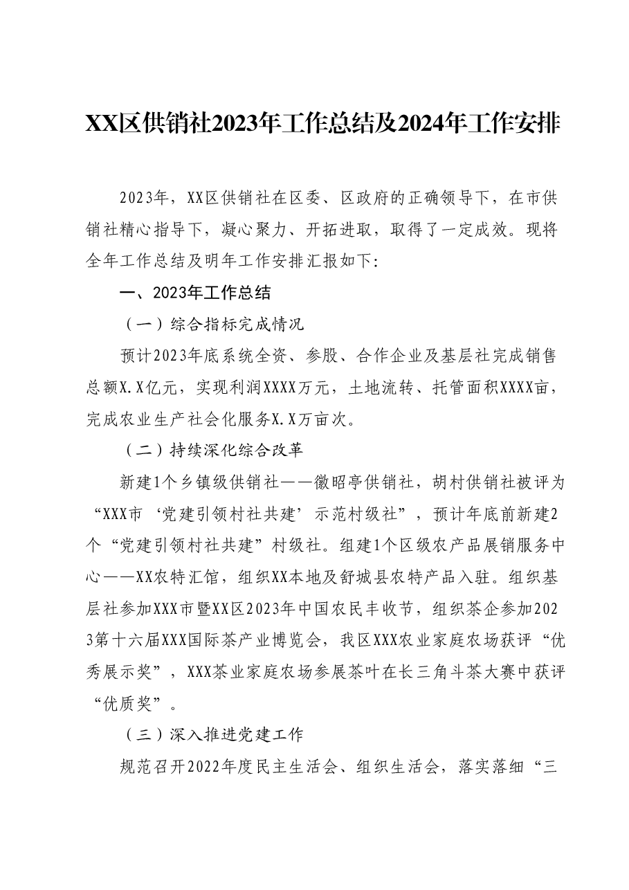 XX区供销社2023年工作总结及2024年工作安排.docx，第1页预览