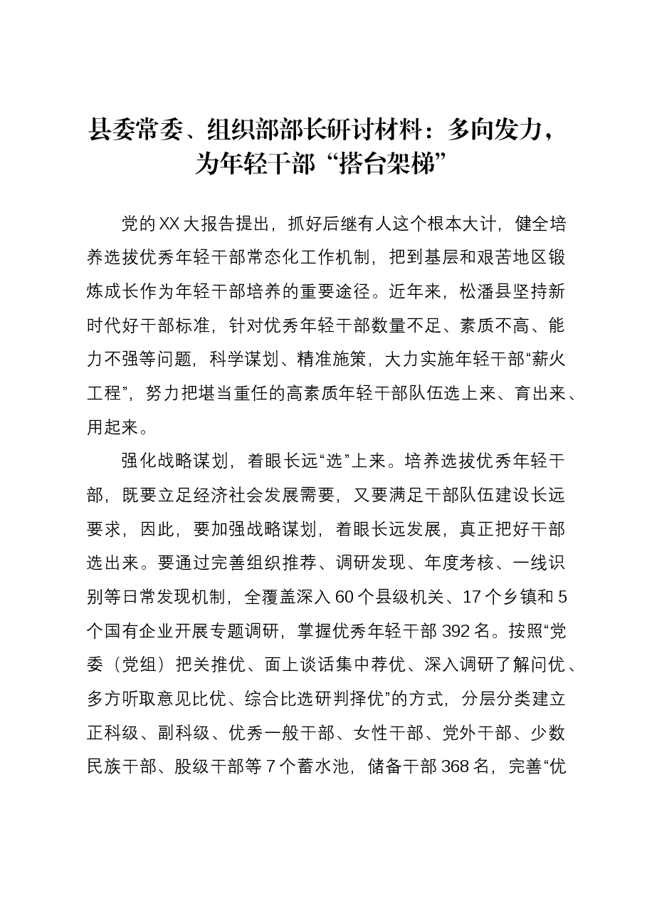 县委常委、组织部部长研讨材料:多向发力,为年轻干部“搭台架梯”.docx,第1页预览