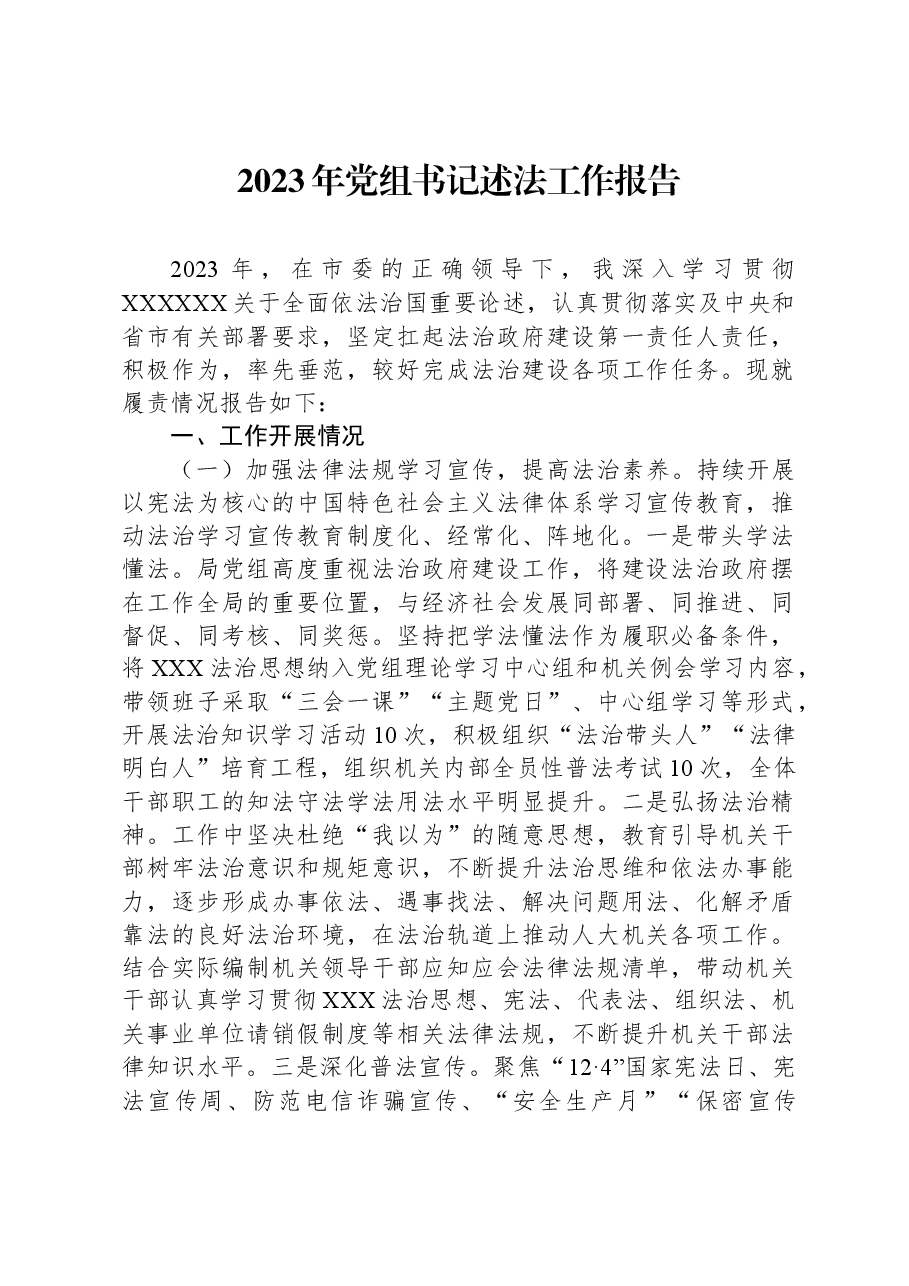 2023年党组书记述法工作报告.docx,第1页预览